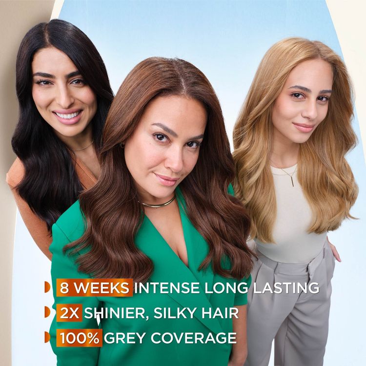 GARNIER HAIR COLOR 6